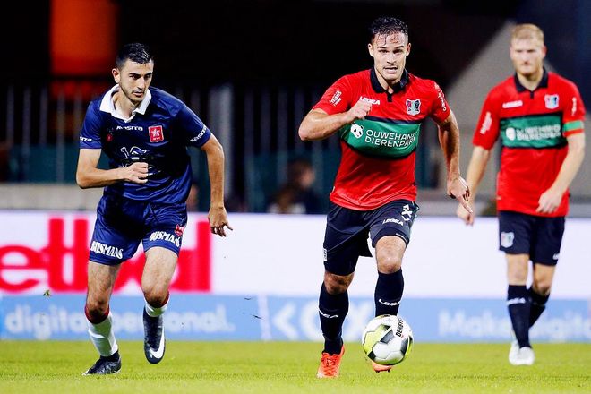 他们都依托 他们都依托