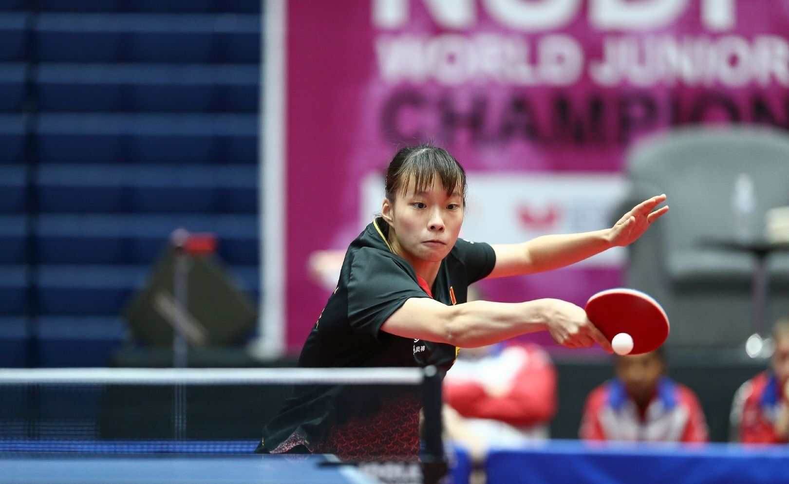 运动的兴趣 运动的兴趣